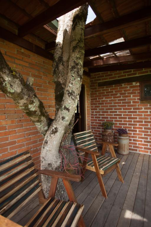Villa Loft No Campo Proximo Ao Vale Dos Vinhedos Garibaldi Exterior foto